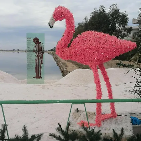 Fenicottero Rosa Lägenhet Margherita Di Savoia